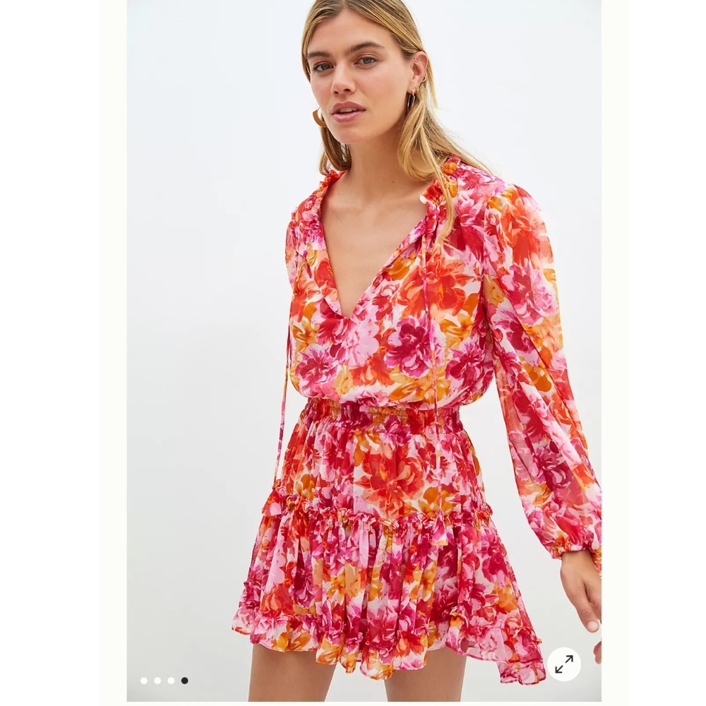 Anthropologie MISA Los Angeles Clementine Ruffled Floral Dress in Pink